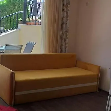 Apartament Vip In