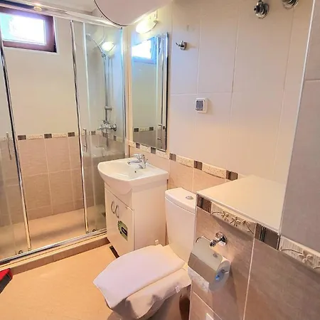 Apartment Vip In